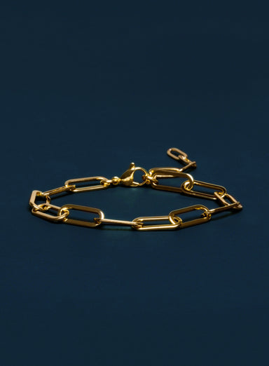 Medium Gold Plated Stainless Steel Adjustable Clip Chain Bracelet Bracelets exchangecapitalmarkets: Men's Jewelry & Clothing.   