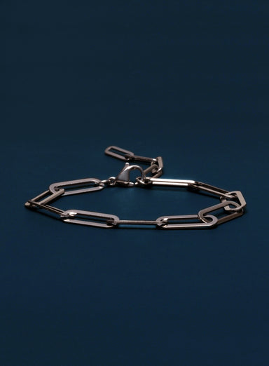 Waterproof Large Stainless Steel Adjustable Clip Chain Bracelet Bracelets exchangecapitalmarkets: Men's Jewelry & Clothing.   